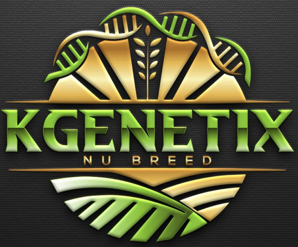 KGENETIX STORE